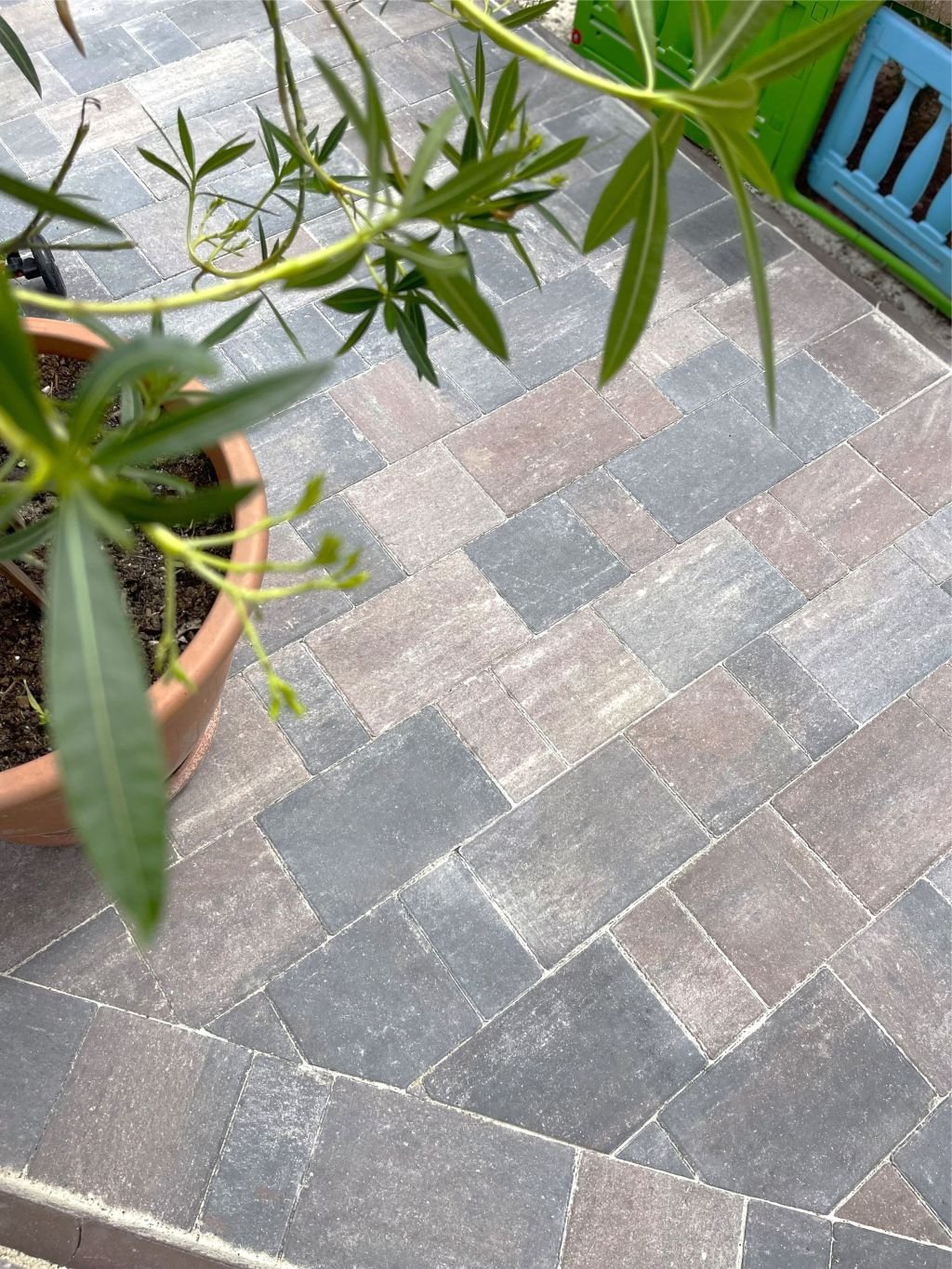 Pavaj Wise, Tetra Combi, Scoica Negru, 6 cm - imagine 5