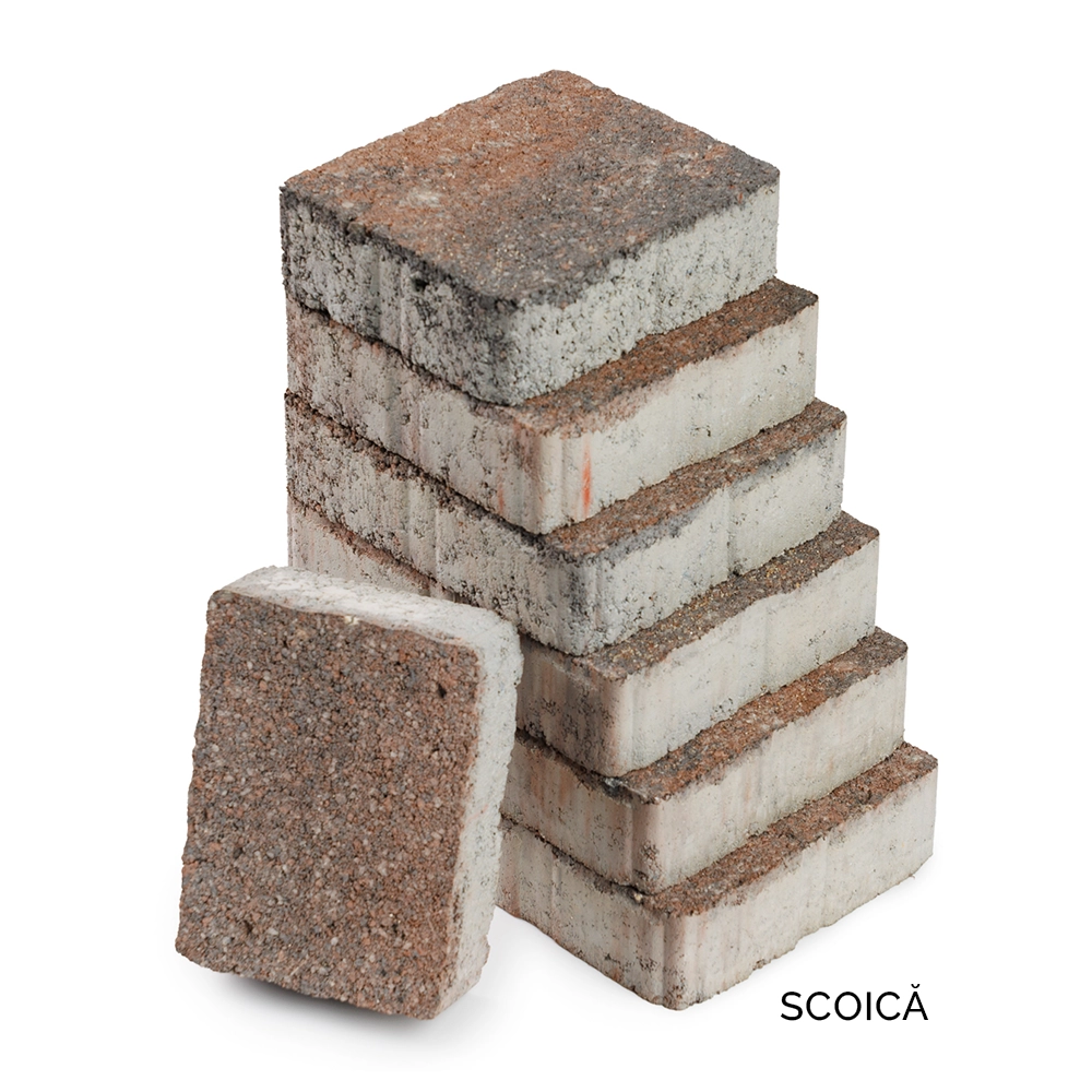 Pavaj Leier, Castrum, scoica, multiformat, 6 cm - imagine 4