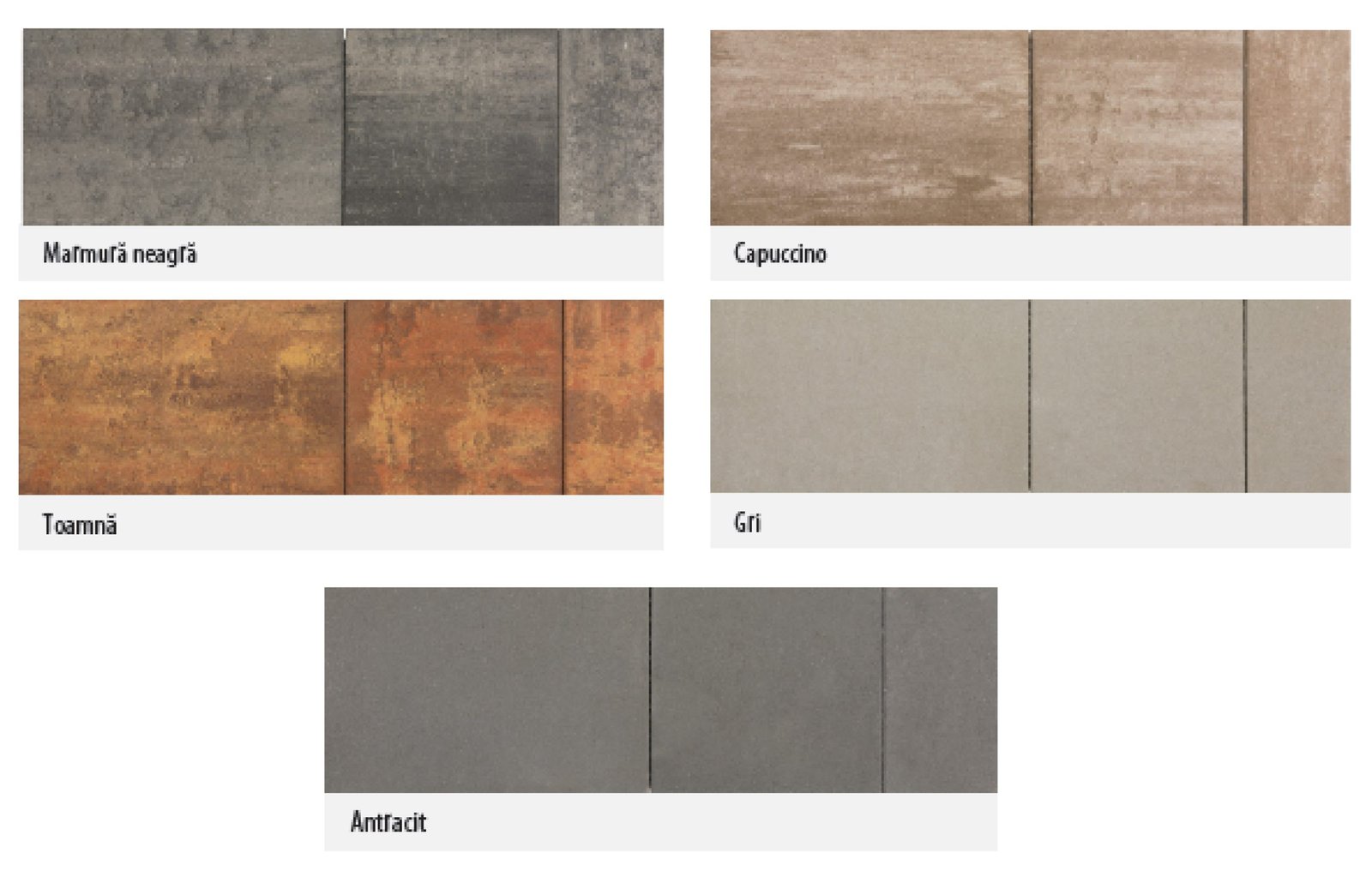 Pavaj Leier, Taverna Gigant, toamna, multiformat, 6 cm - imagine 3