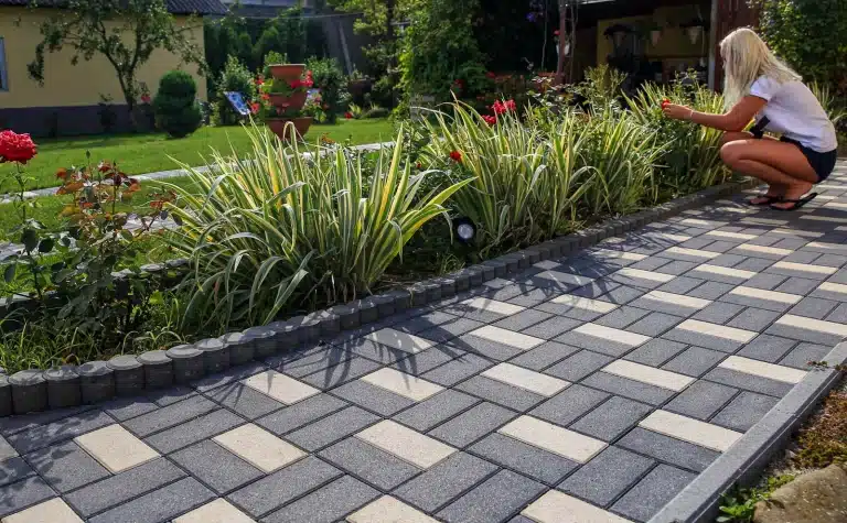 Pavaj Petra Pavaje, Holland, alb, 10x20x6 cm - imagine 4